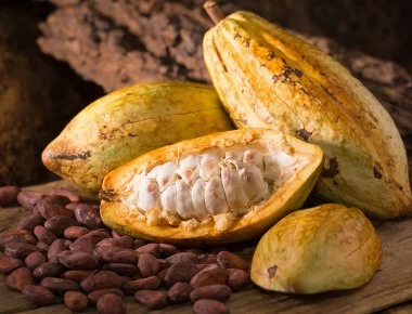 Η υπερτροφή που αναστρέφει την παχυσαρκία